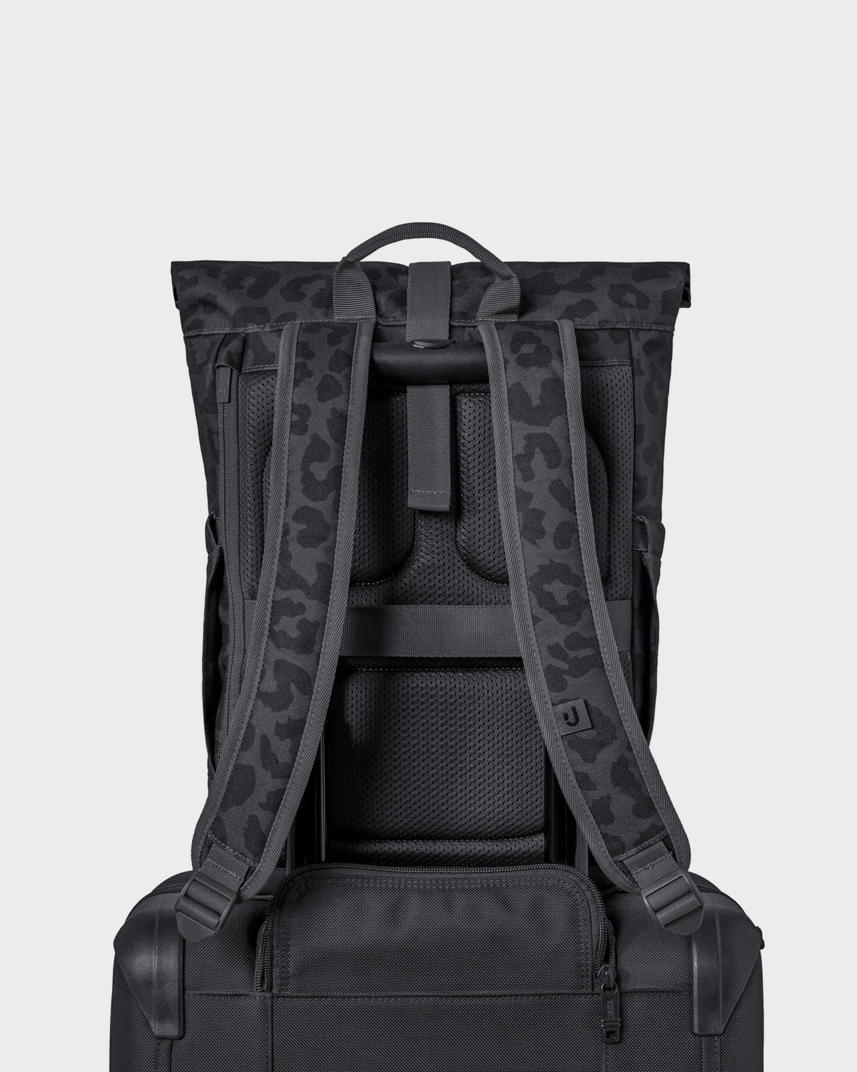 Rolltop Backpack "Luca Small"