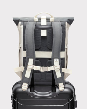 Rolltop Backpack "Allen Medium 2.0"