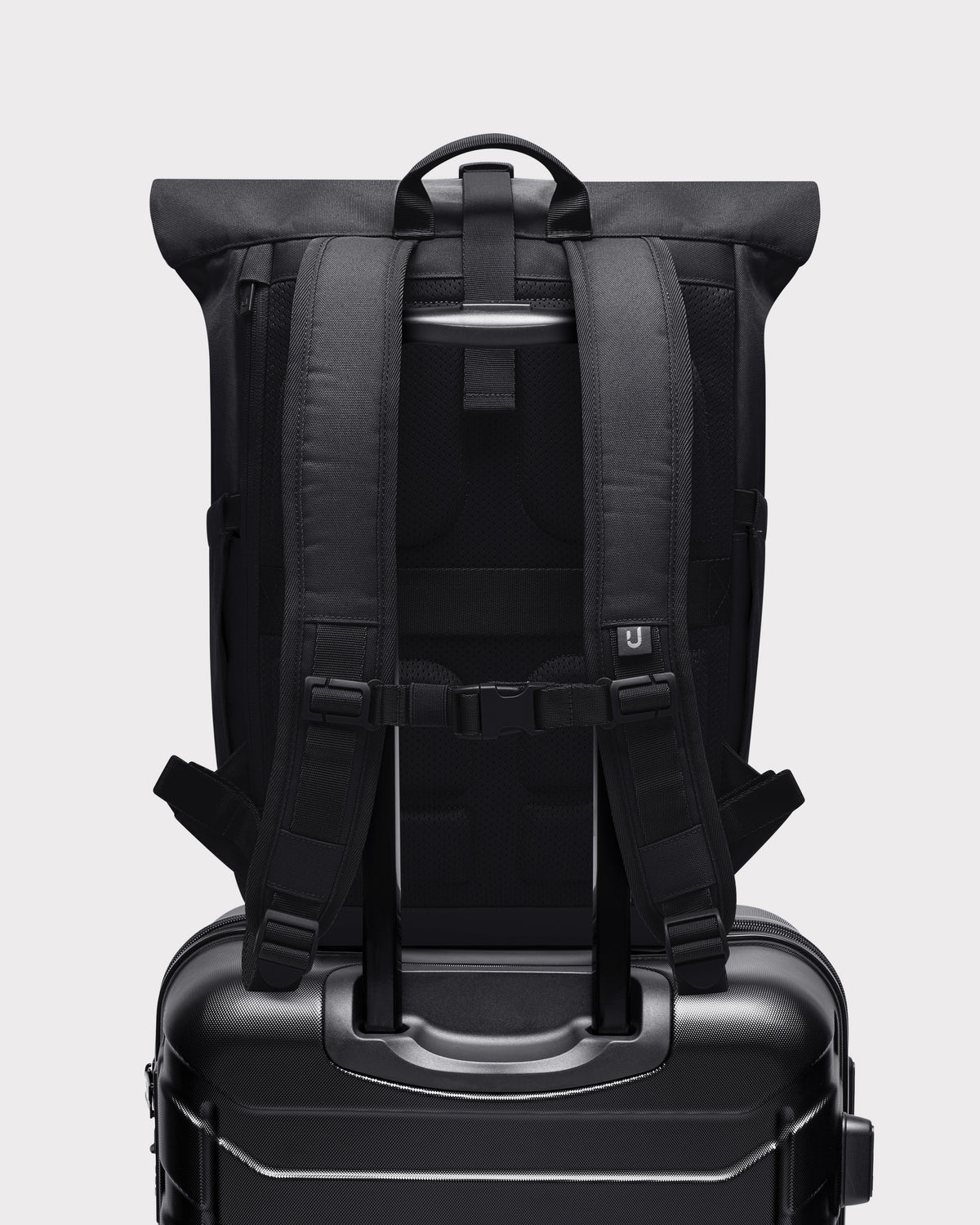 Rolltop Backpack "Allen Medium 2.0"