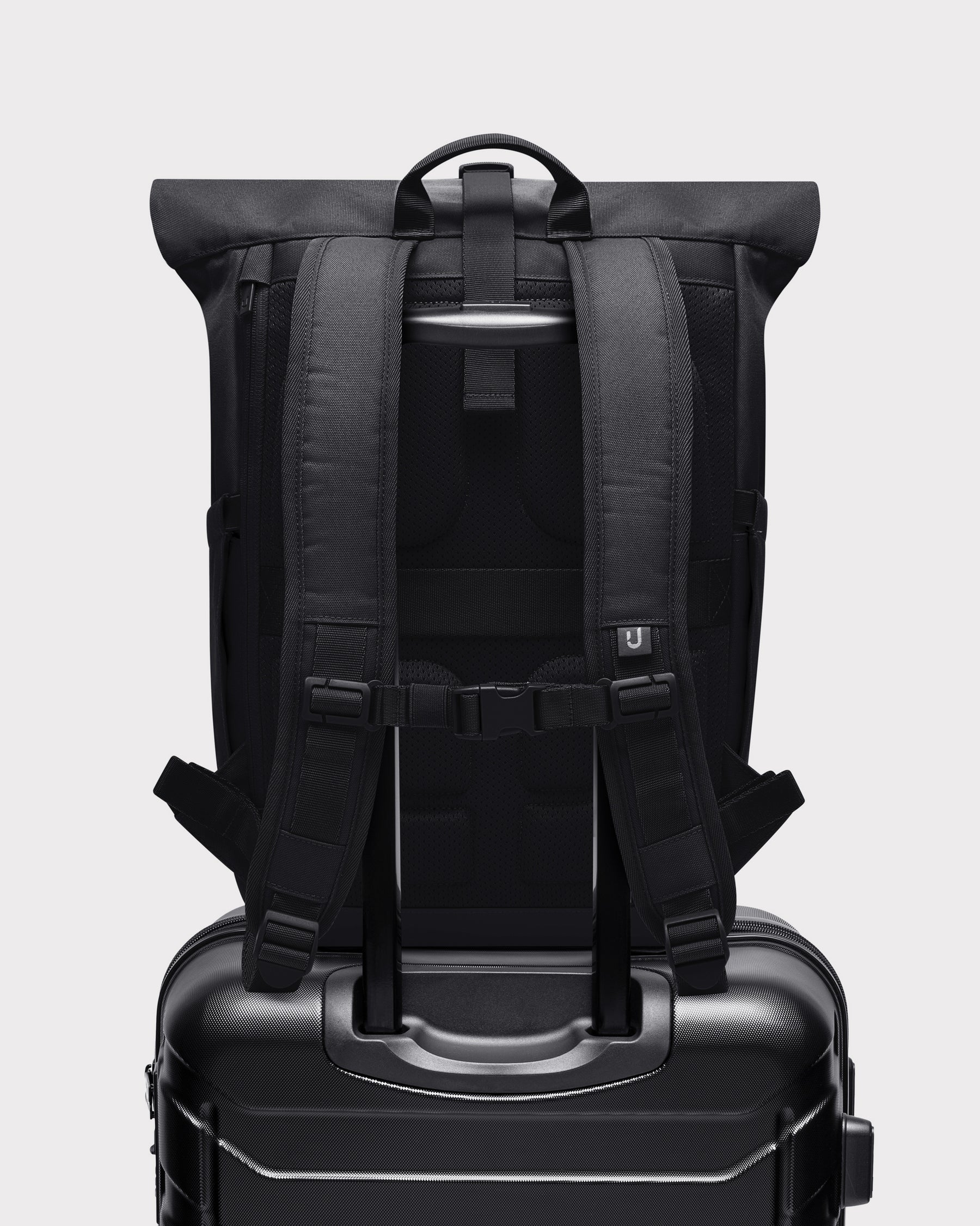 Rolltop Backpack "Allen Medium 2.0"