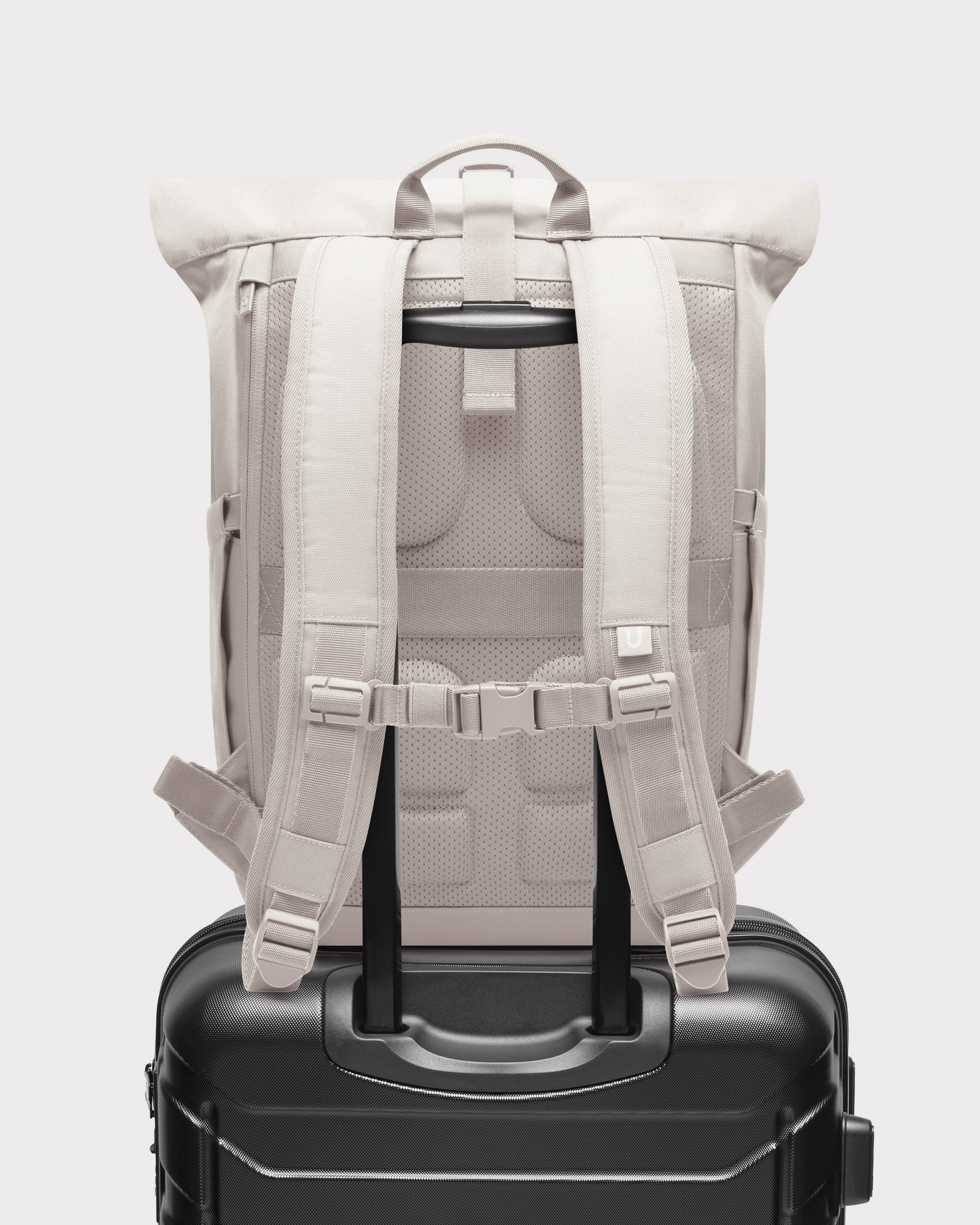 Rolltop Backpack "Allen Medium 2.0"