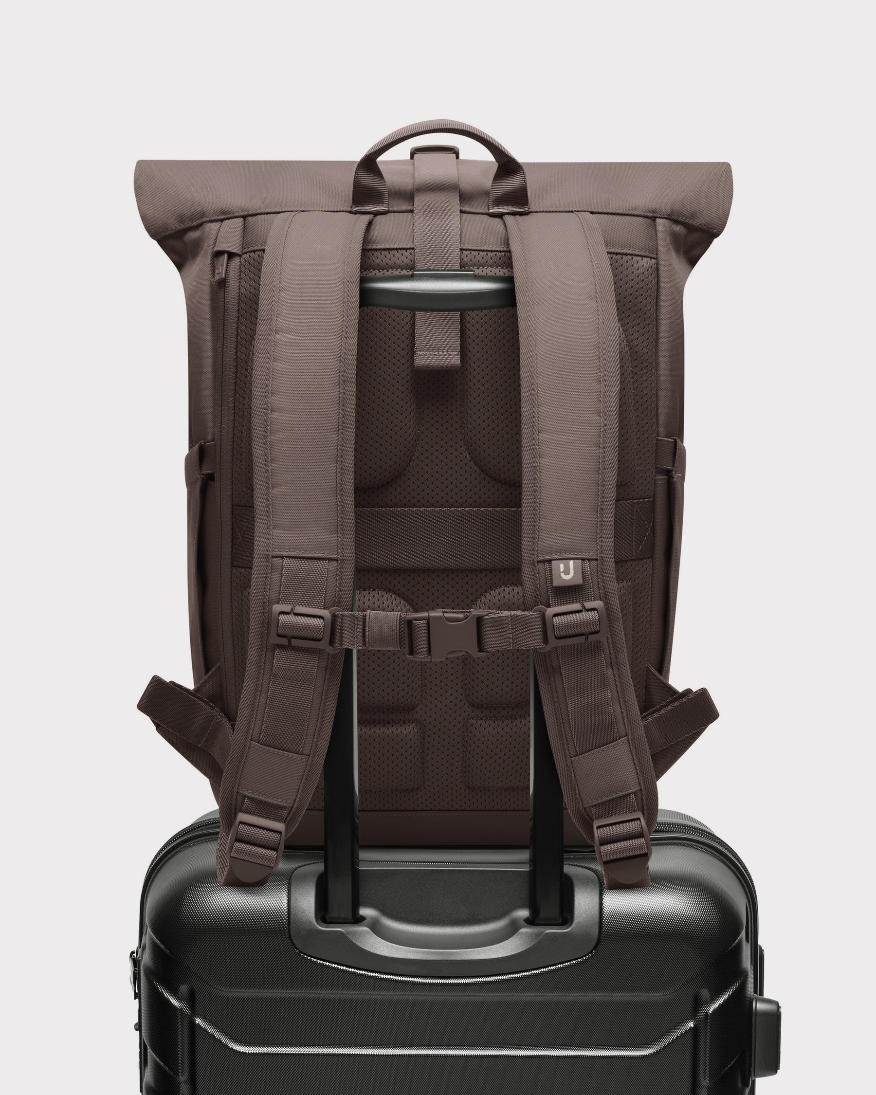 Rolltop Backpack "Allen Medium 2.0"