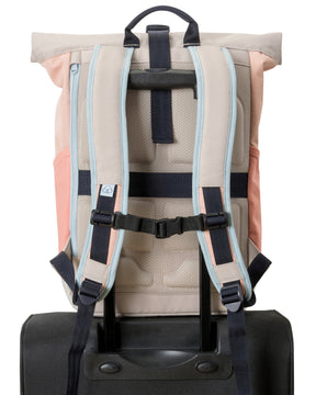 Rolltop Backpack "Allen Medium"