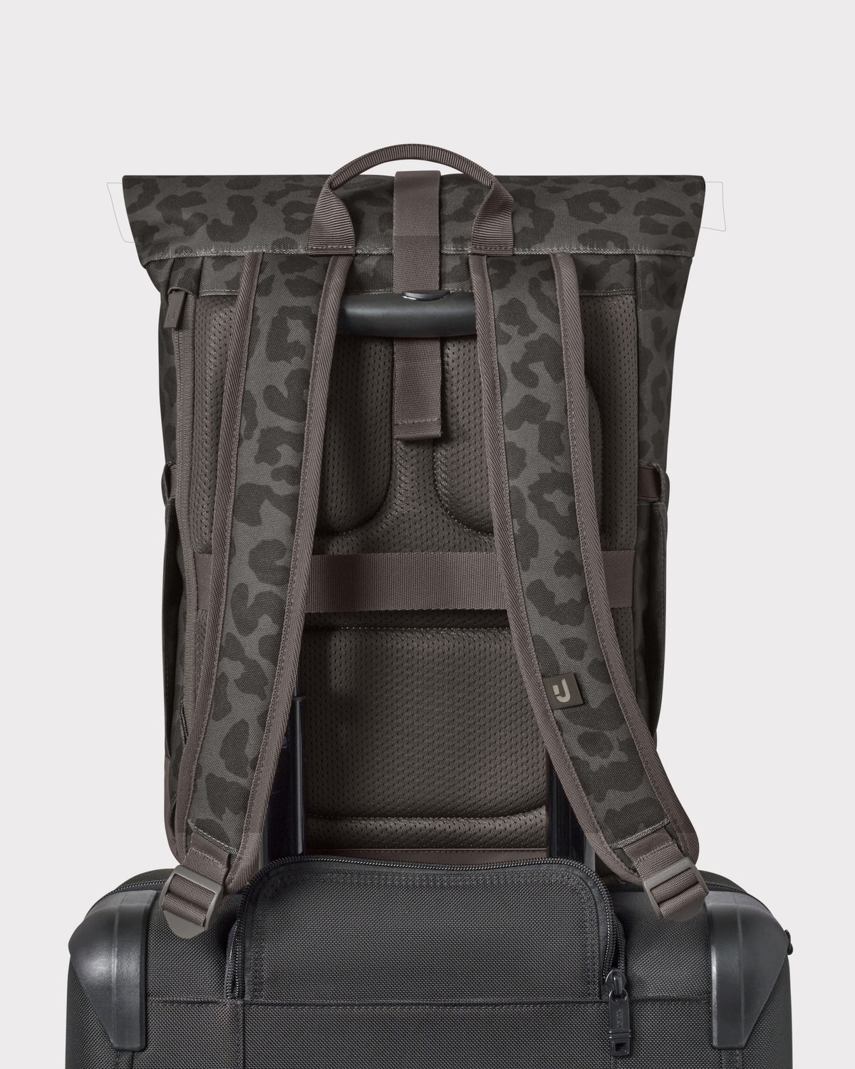 Rolltop Backpack "Luca Small"