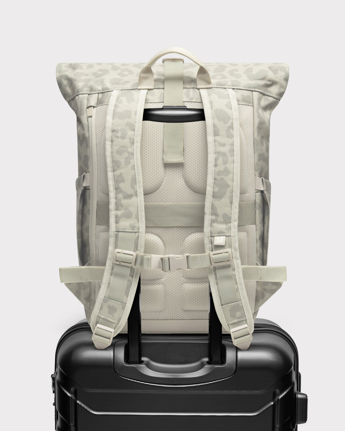 Rolltop Backpack "Allen Medium 2.0"