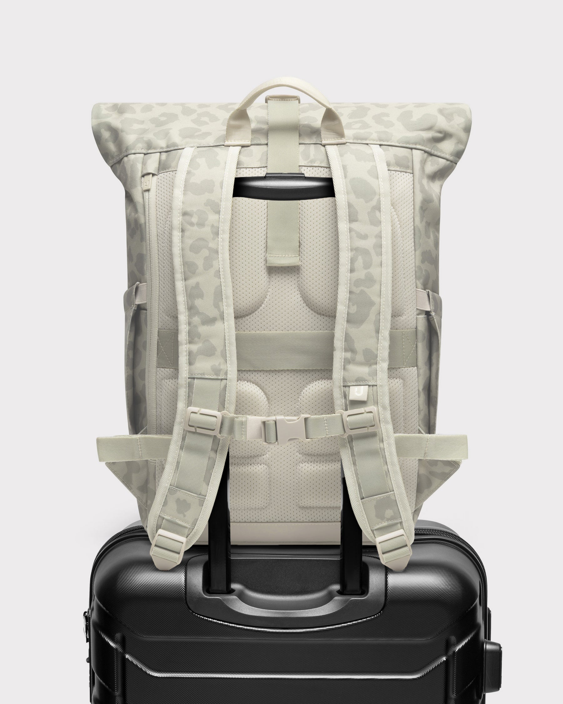 Rolltop Backpack "Allen Medium 2.0"