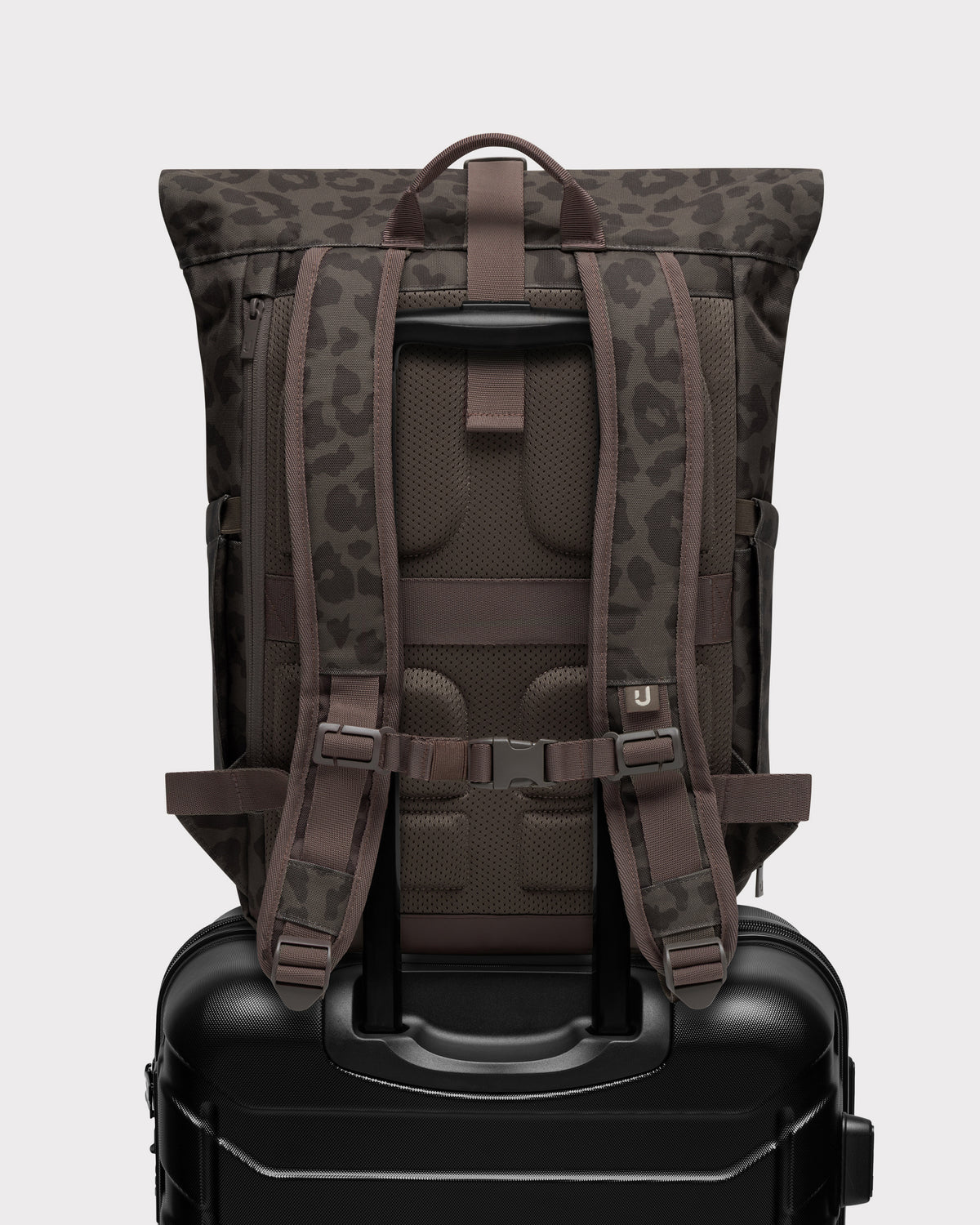 Rolltop Backpack "Allen Medium 2.0"