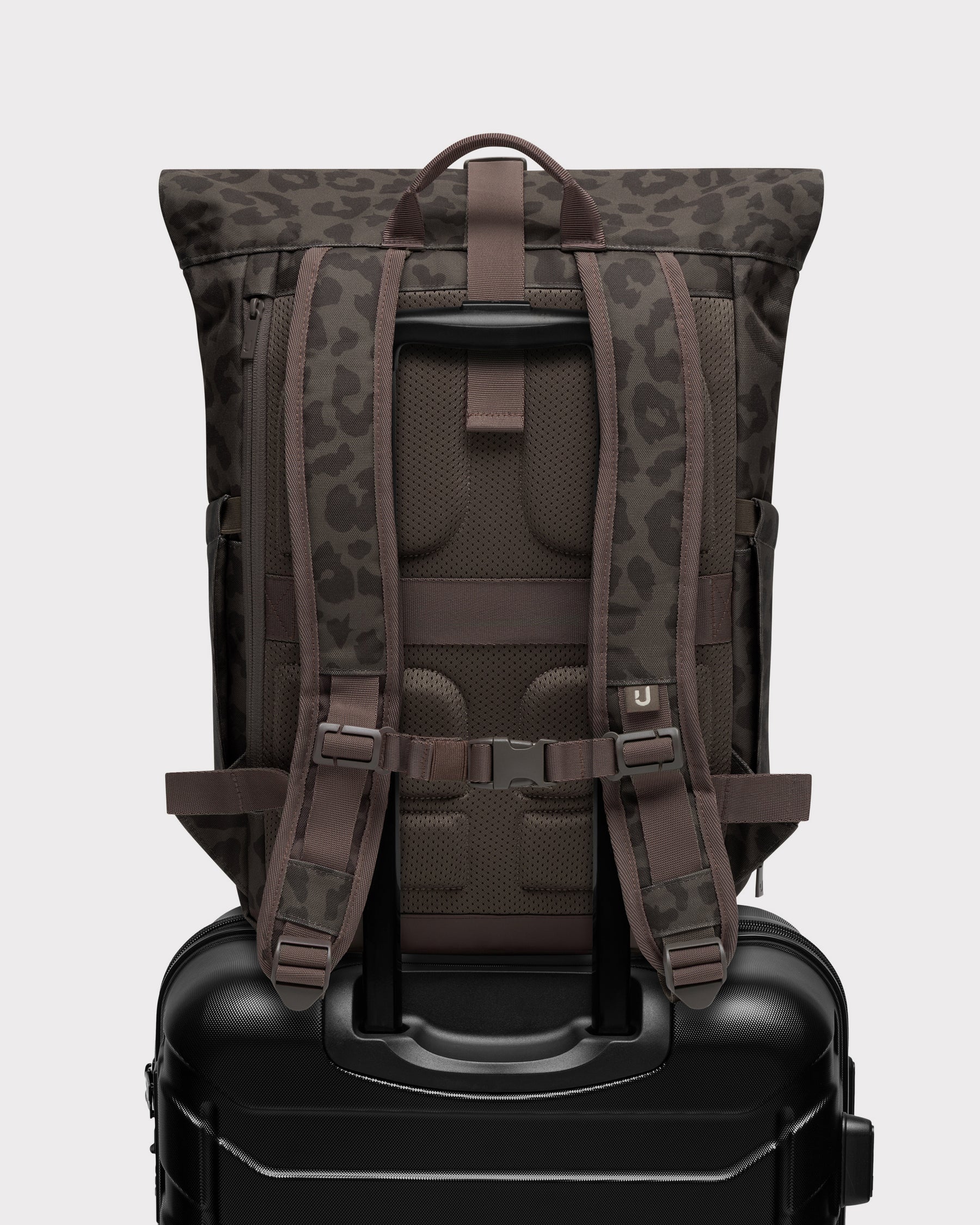 Rolltop Backpack "Allen Medium 2.0"