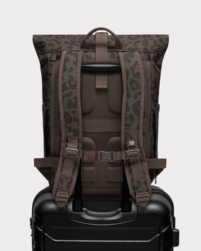 Rolltop Backpack "Allen Medium 2.0"