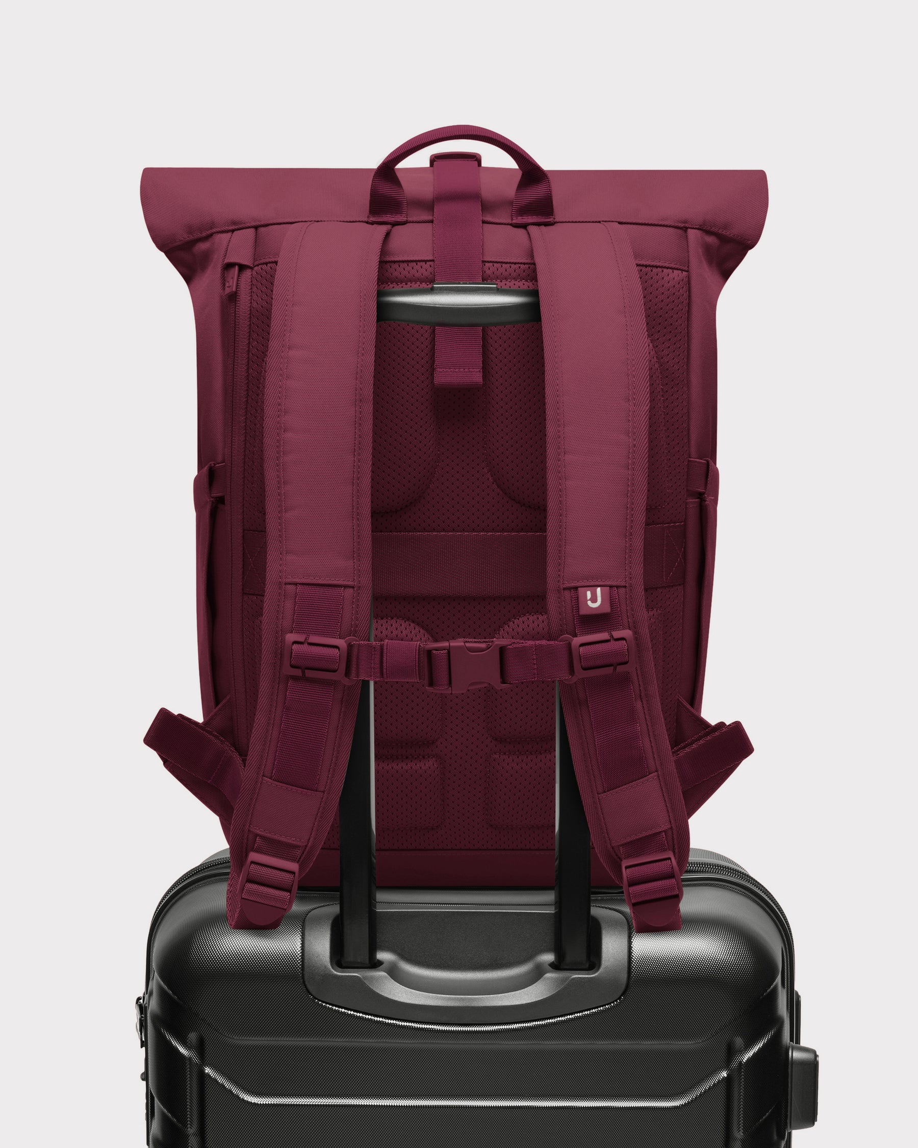 Rolltop Backpack "Allen Medium 2.0"