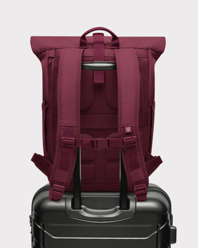 Rolltop Backpack "Allen Medium 2.0"