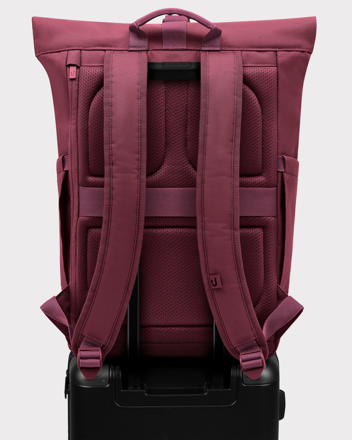 Rolltop Backpack "Allen Medium"