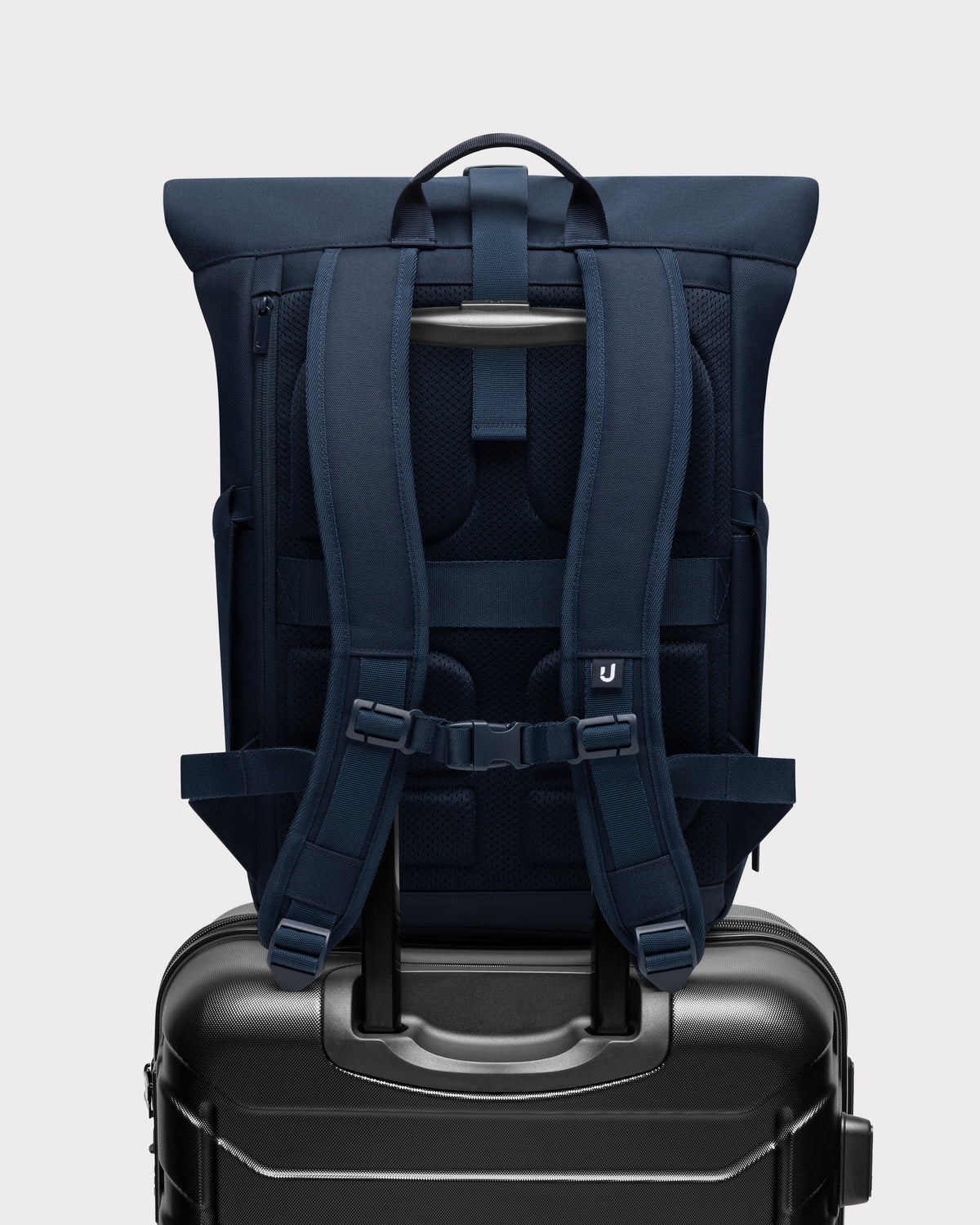 Rolltop Backpack "Allen Medium 2.0"
