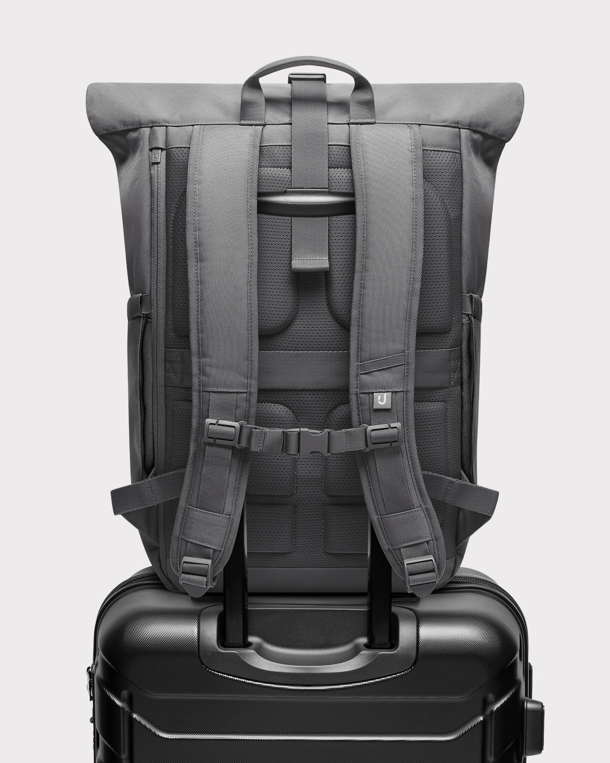 Rolltop Backpack "Allen Medium 2.0"