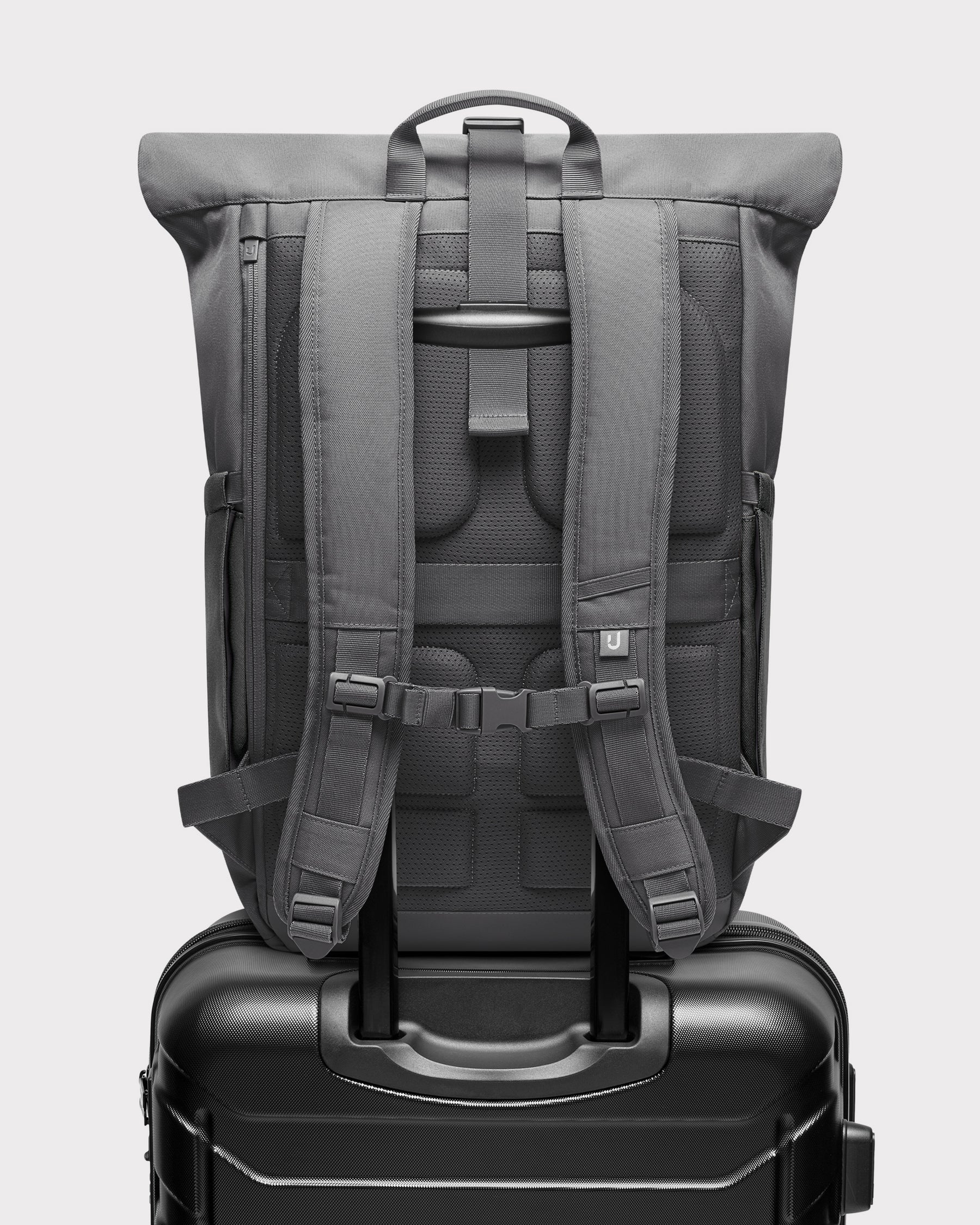 Rolltop Backpack "Allen Medium 2.0"