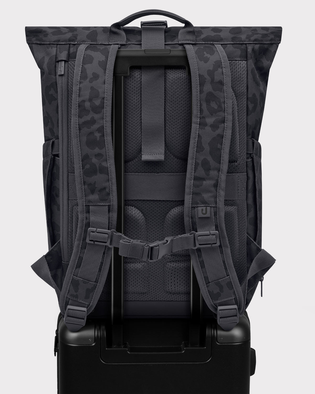 Rolltop Backpack "Allen Medium 2.0"