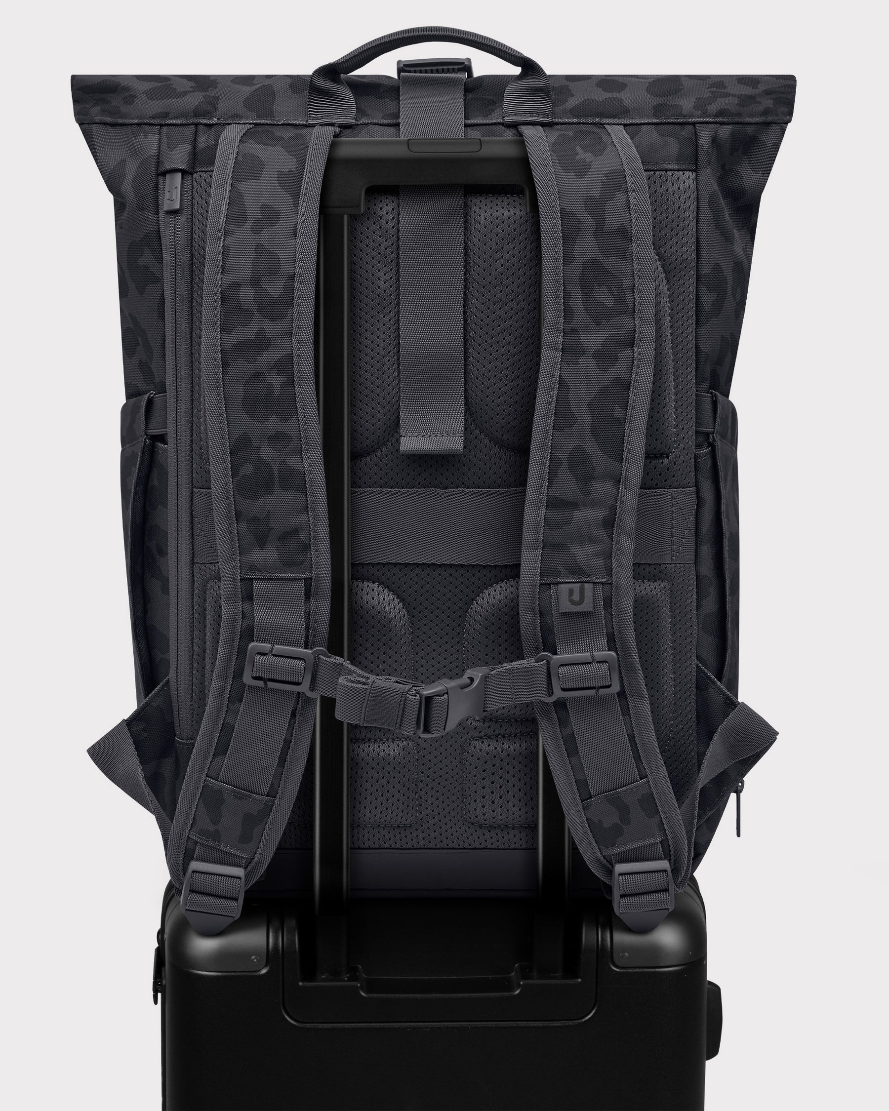 Rolltop Rucksack "Allen Medium 2.0" grau leo