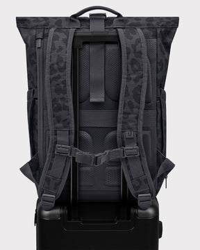 Rolltop Rucksack "Allen Medium 2.0" grau leo