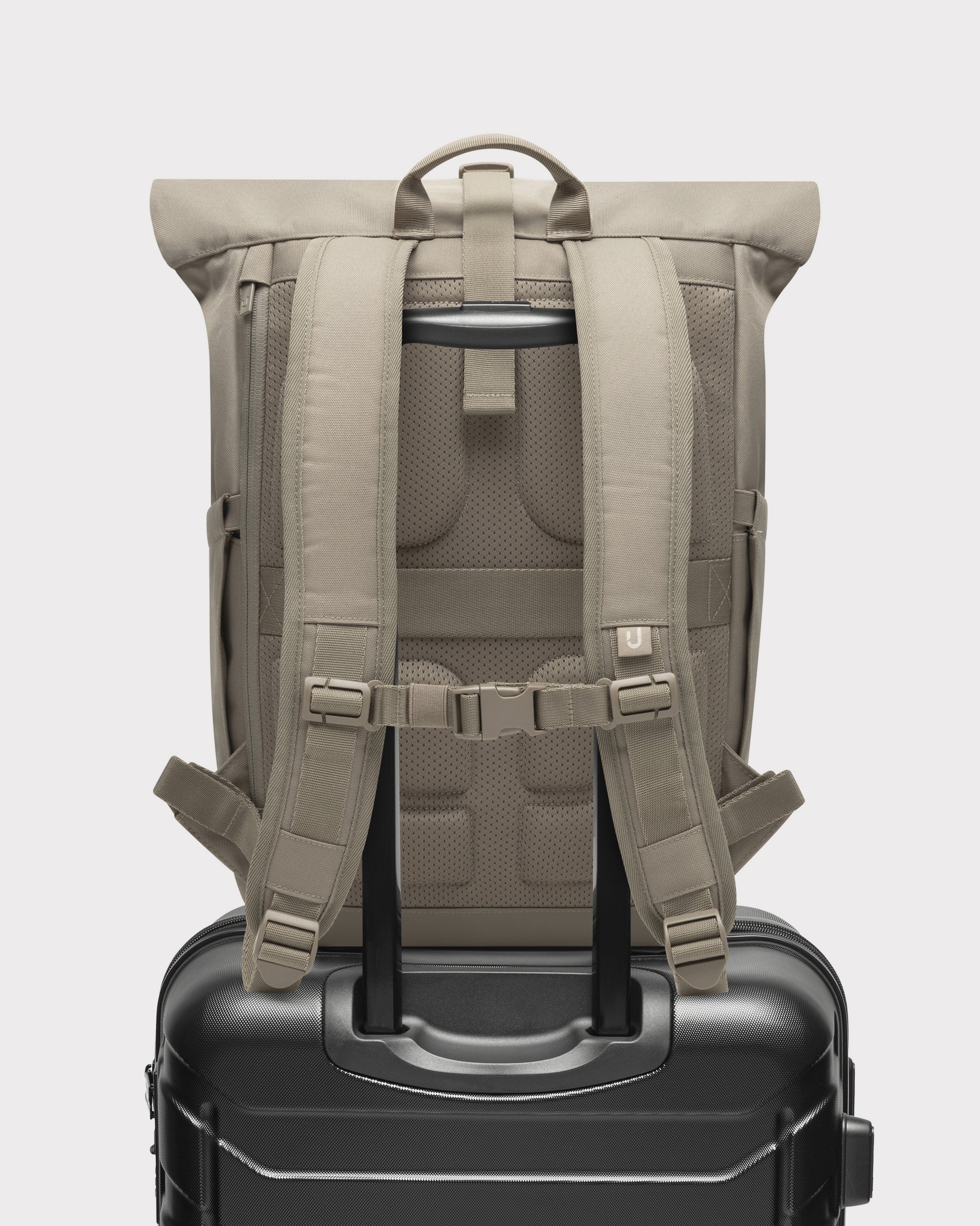 Rolltop Backpack "Allen Medium 2.0"