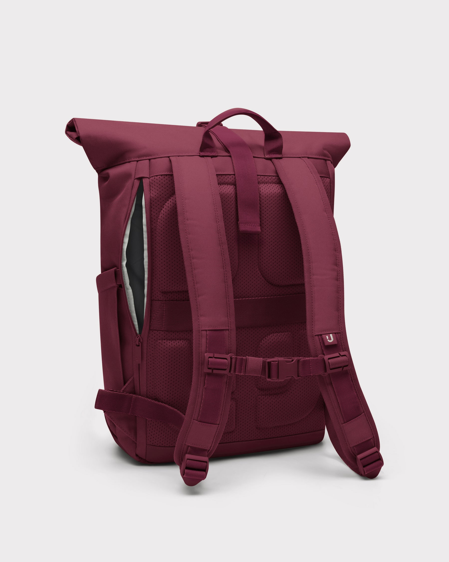 Rolltop Backpack "Allen Medium 2.0"