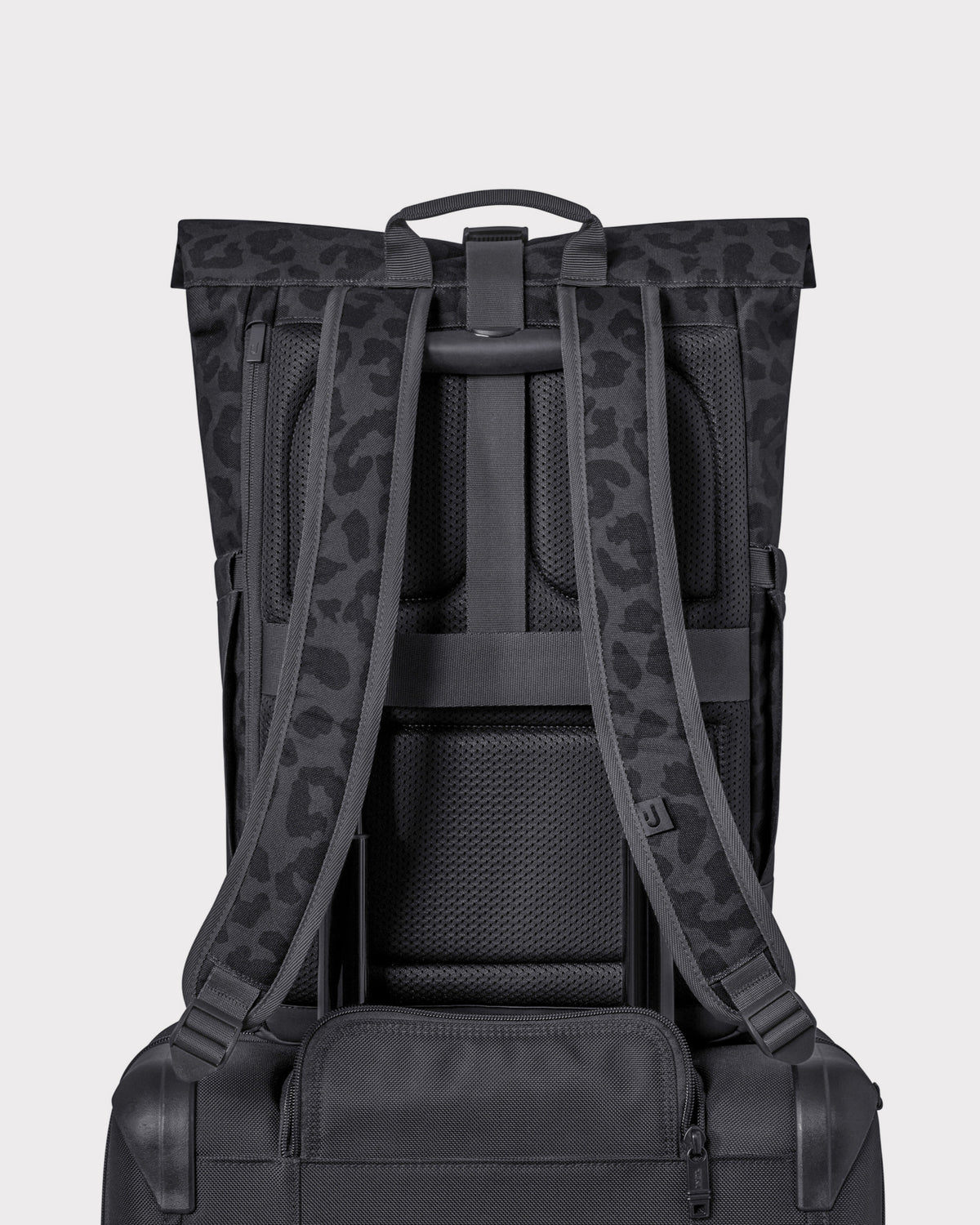 Rolltop Backpack "Luca Medium"