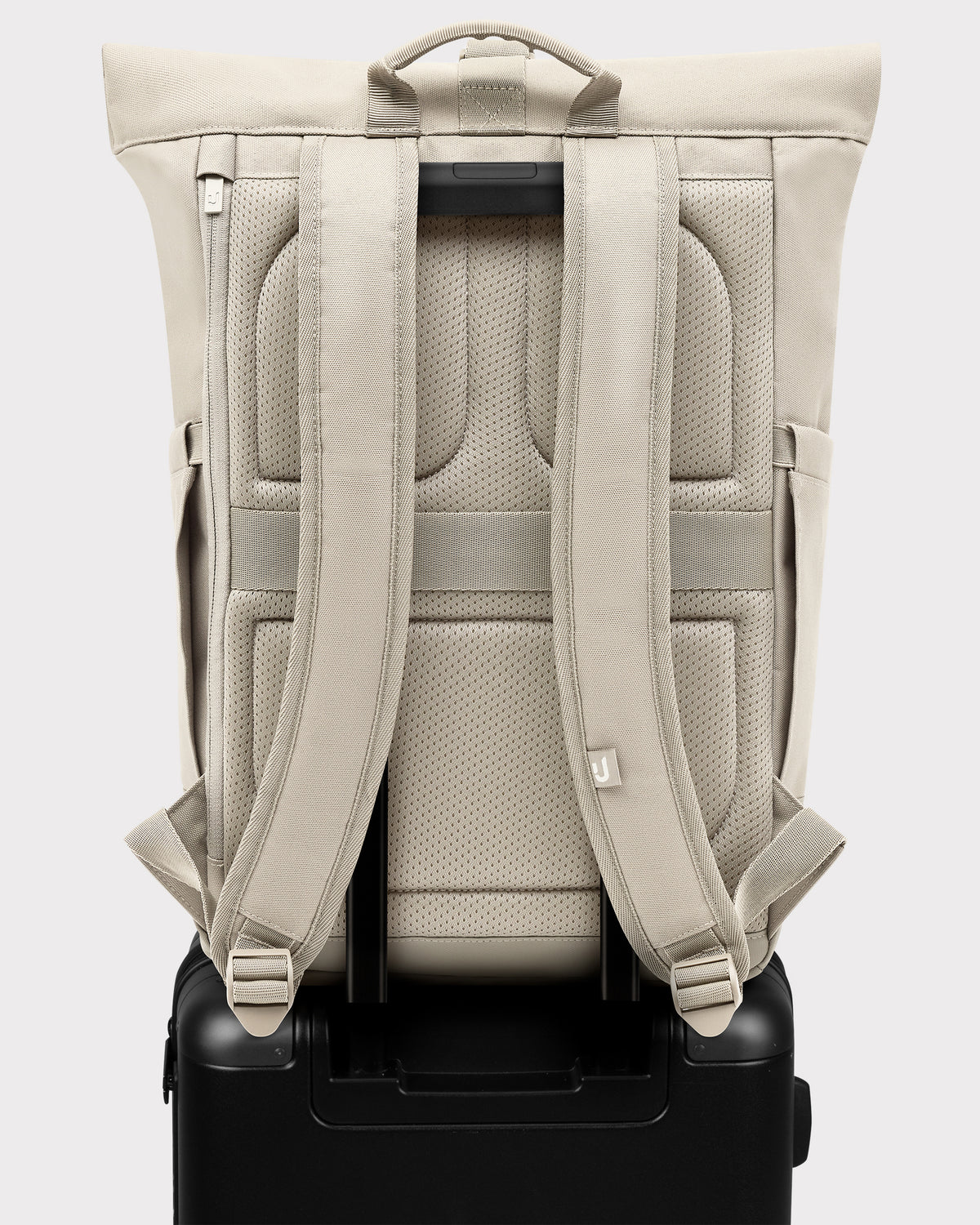 Rolltop Backpack "Allen Medium"